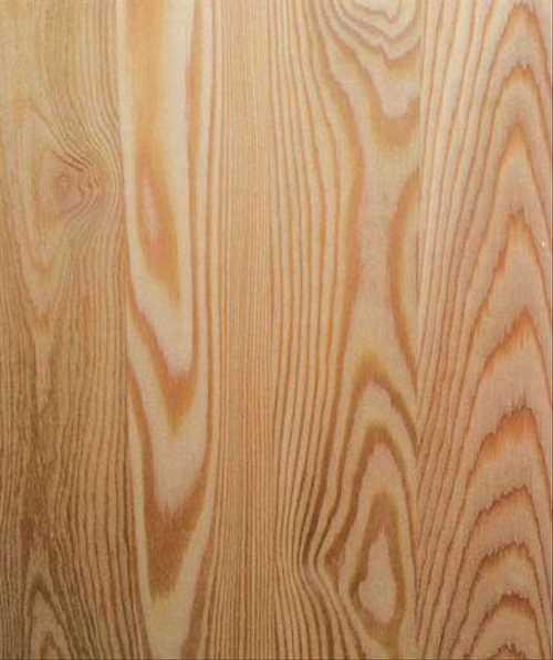 Лиственница Сибирская в массиве