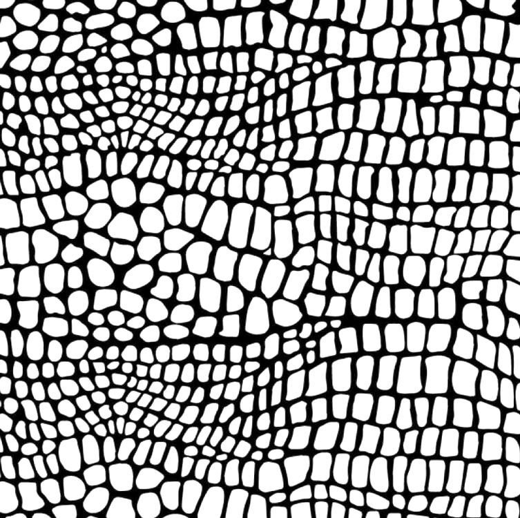 Змеиная кожа вектор