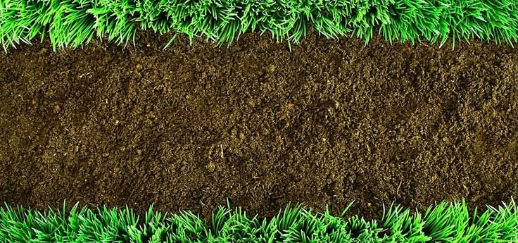 Земля с травой