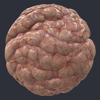 Текстура мозга человека