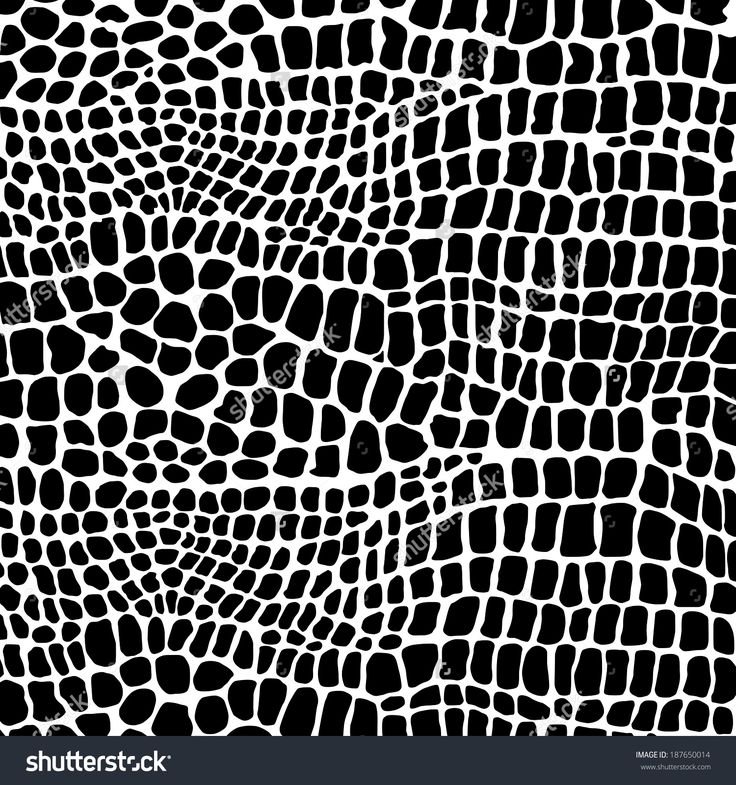 Текстура кожи крокодила вектор