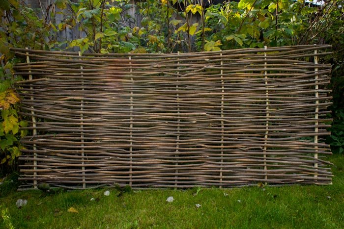 Забор плетень лоза