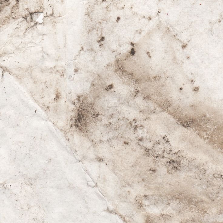 Слоновая кость текстура бесшовная