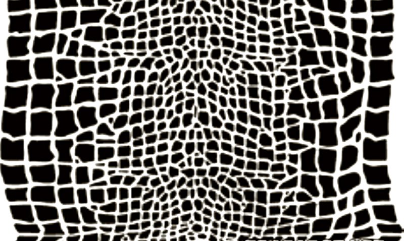 Трафарет кожа крокодила