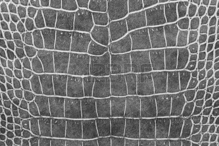 Трафарет кожа крокодила