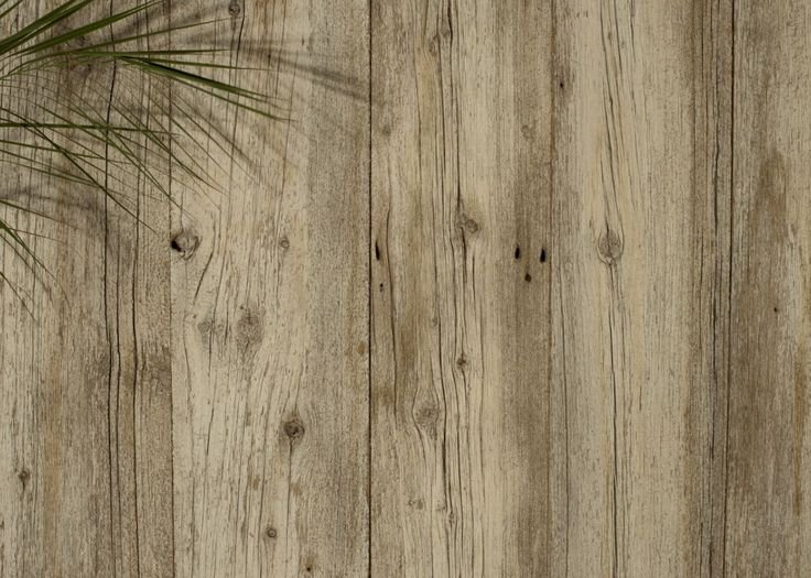 Фактура дерева