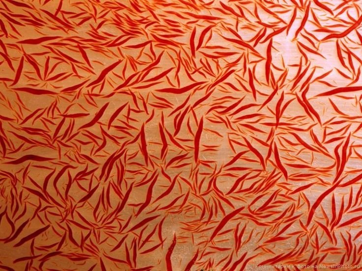 Кораллы текстура