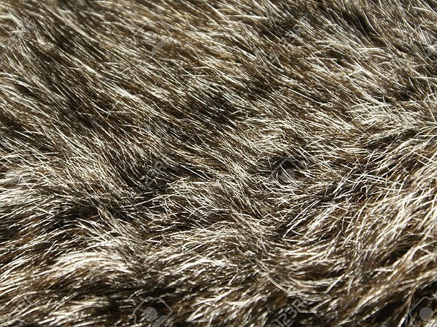 Шерсть зайца