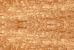 Птичий глаз клен шпон 05.088