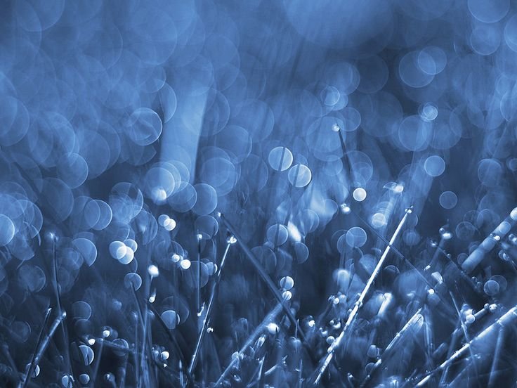 Синяя трава