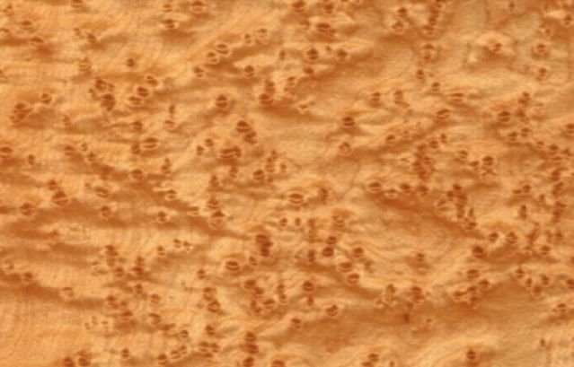 Шпон клен птичий глаз