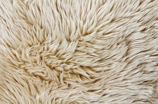 Текстура шерсти