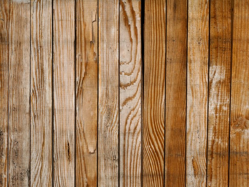 Текстура дерева