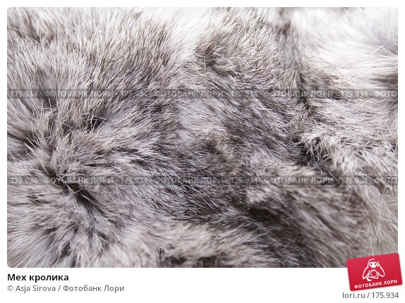 Шерсть кролика
