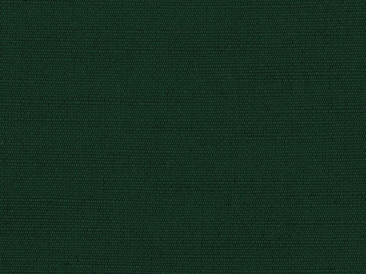Suedine Dark Green 5920