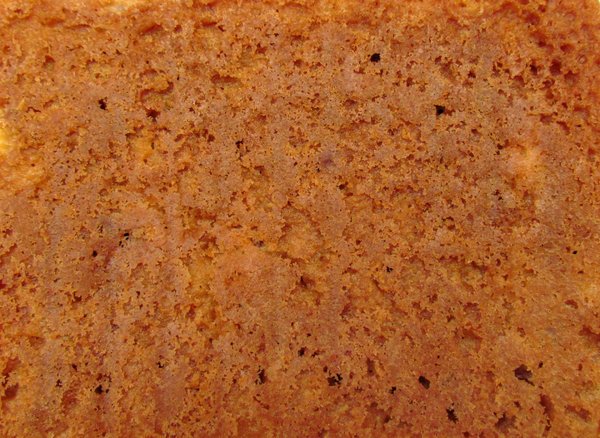 Бисквит текстура