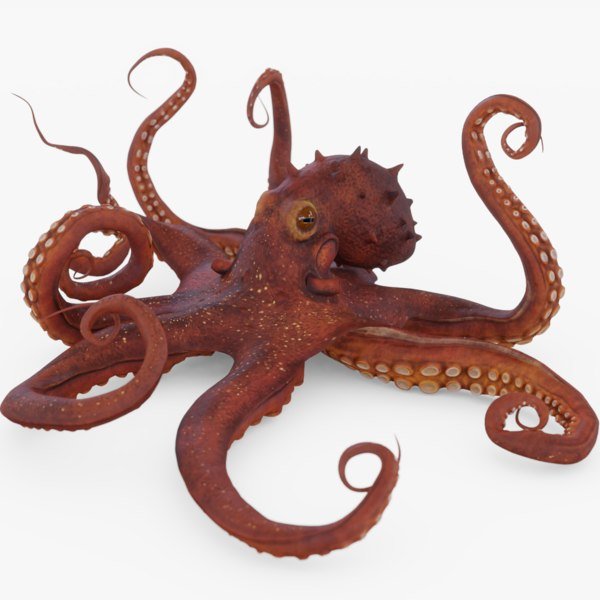 Осьминог ДЕАГОСТИНИ