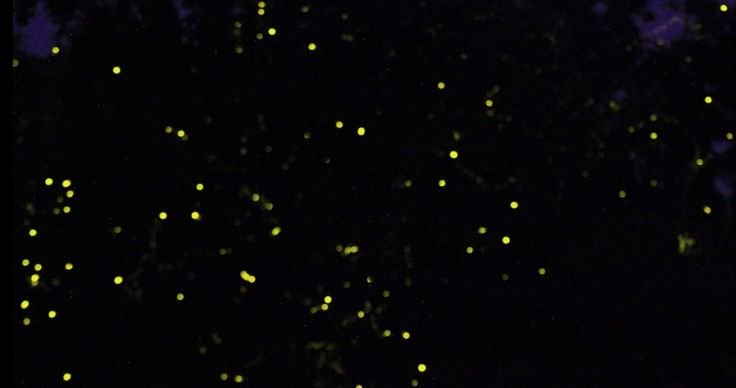 Светящиеся точки