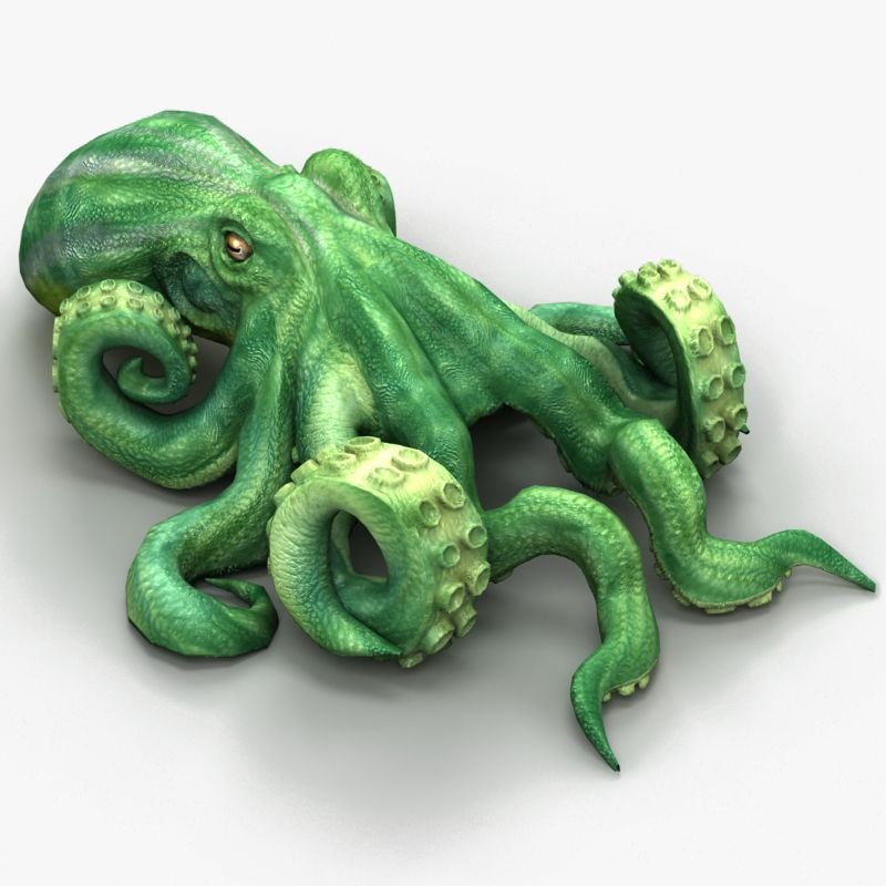 Осьминог STL