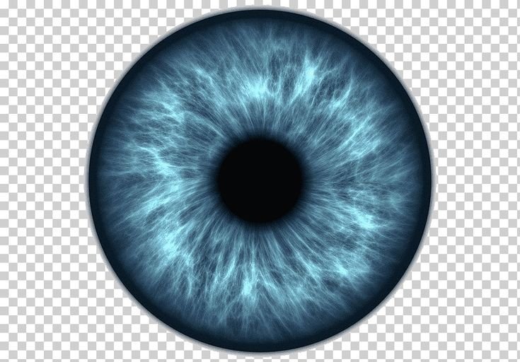 Радужка глаза