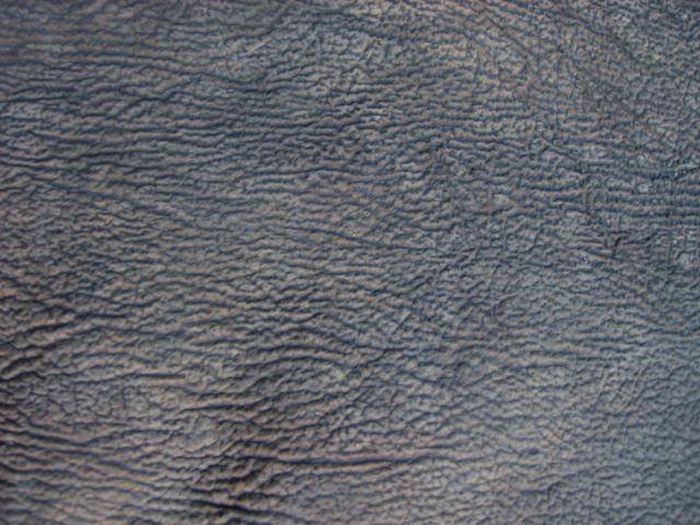 Кожа акулы текстура