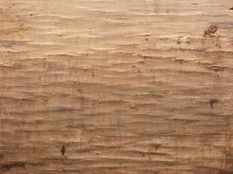 Текстура бревна