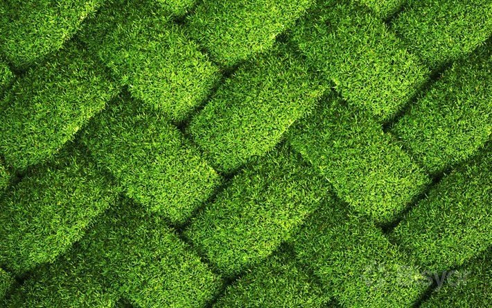 Газон текстура