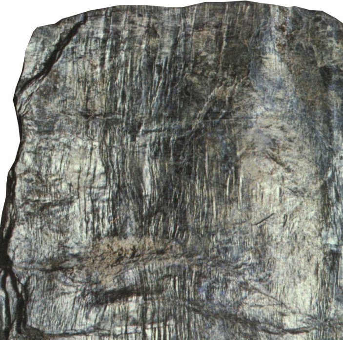 Кварц-хлорит-серицитовый сланец