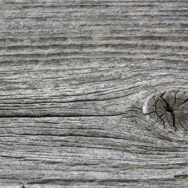 Серое дерево