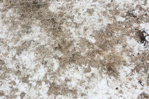 Грязный снег текстура