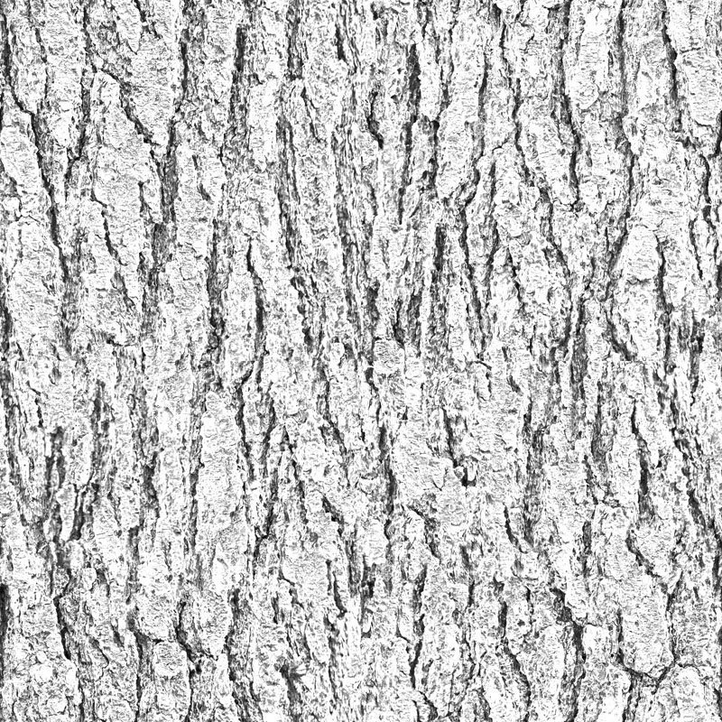 Кора дуба текстура