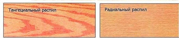 Радиальный и тангенциальный распил древесины отличия