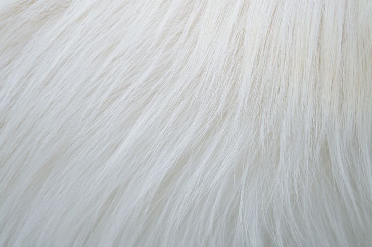 Текстура шерсти