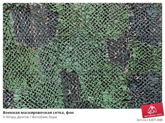 Массеть армейская