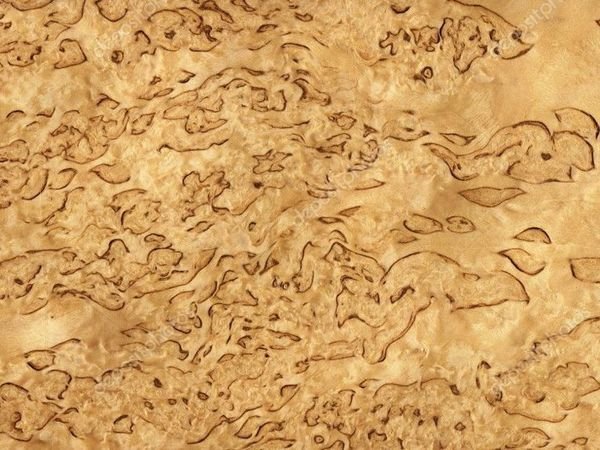 Карельская береза древесина шпон