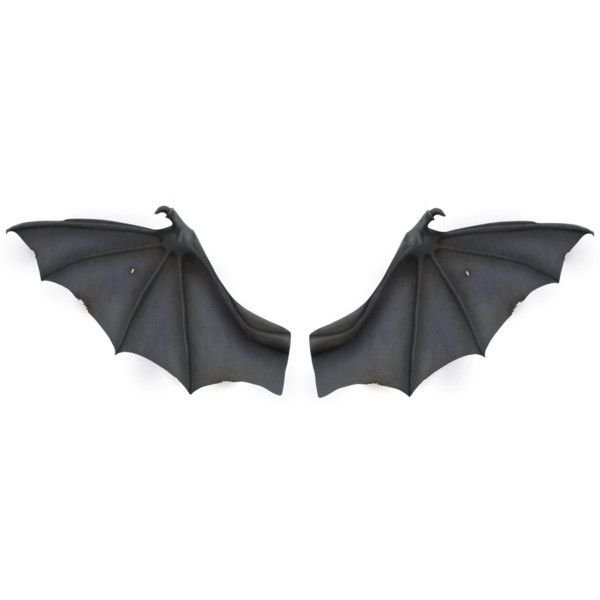 Кожистые Крылья