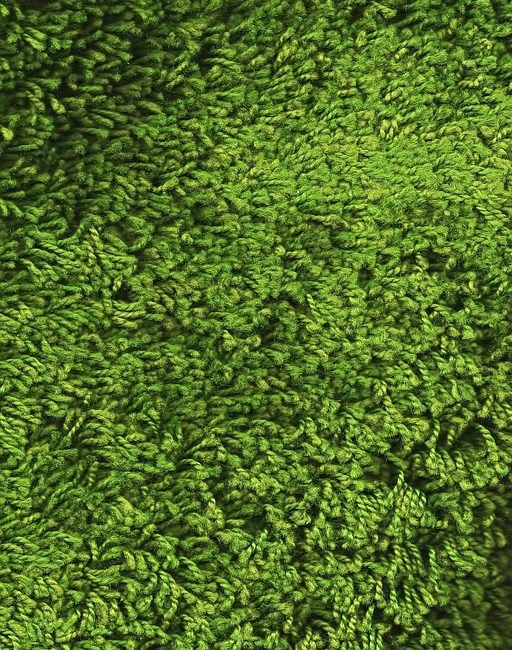 Текстура зелени