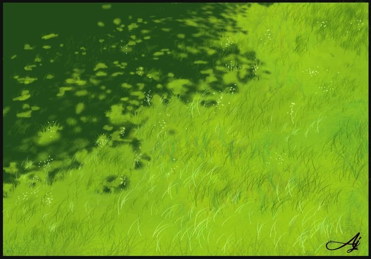 Трава вид сверху