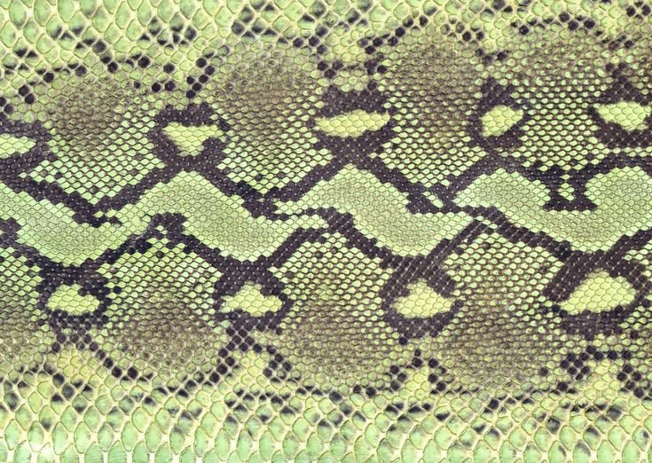 Узор змеиной кожи