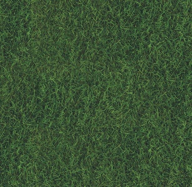 Ковролин зеленый