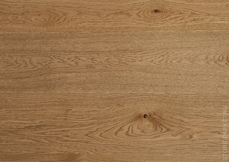 Kjopmann дуб Сигфрид SR