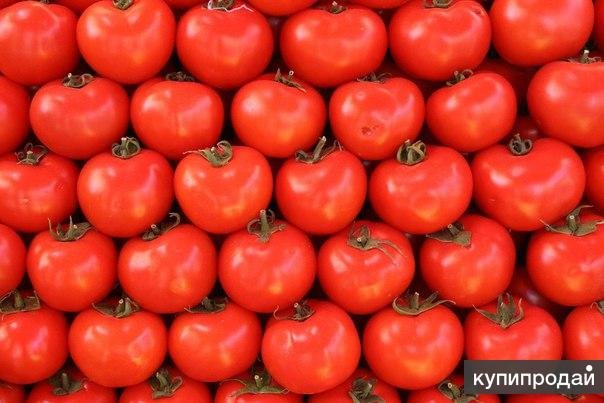 Красивые помидоры