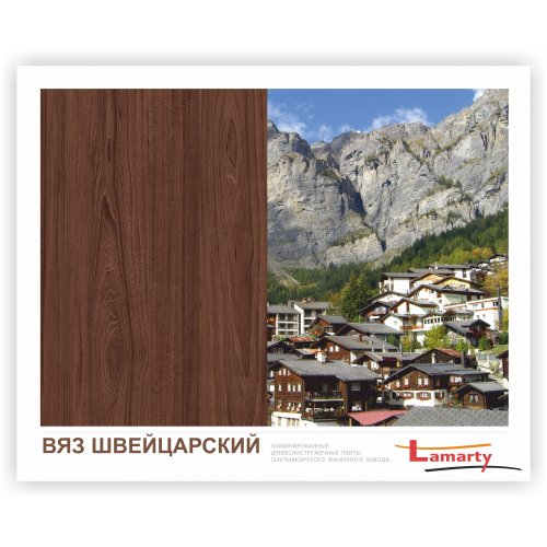 Вяз швейцарский u1114