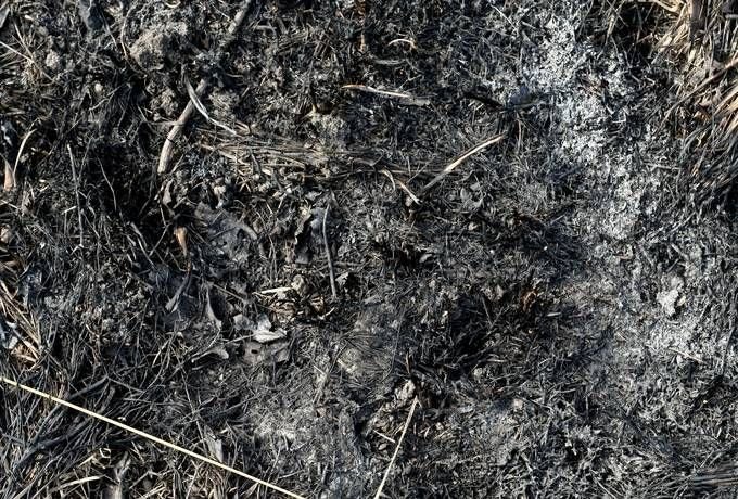 Земля на кладбище текстура