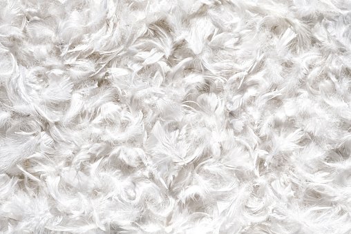 Белый мех текстура