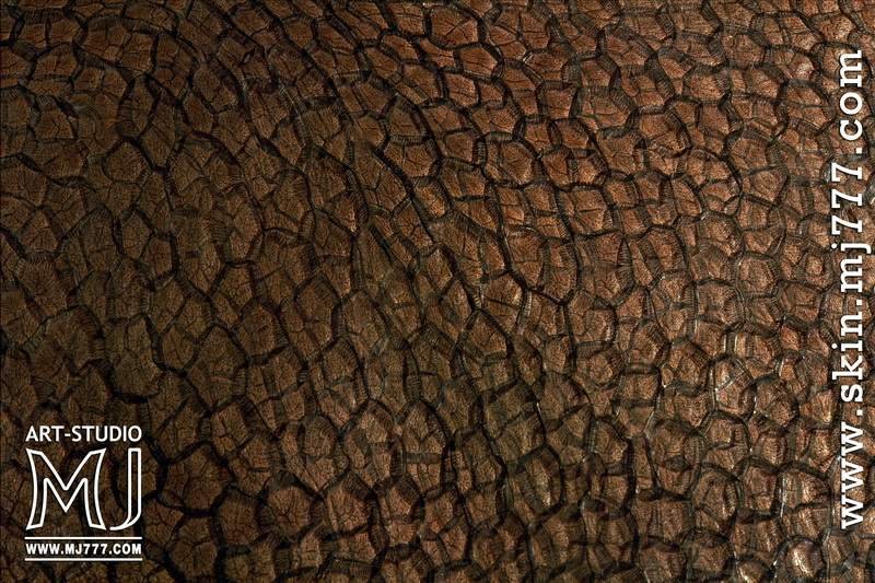 Кожа черепахи текстура