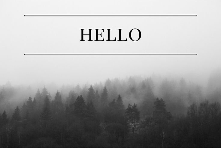 Черный лес в тумане