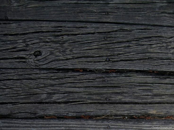 Черное дерево