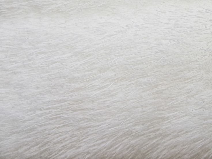 Текстура шерсти