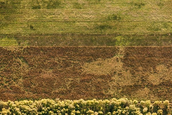 Текстура поля